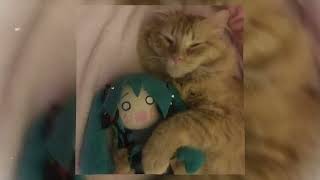 ガッチュー! by giga ft. miku • rin • len ✰ spedup