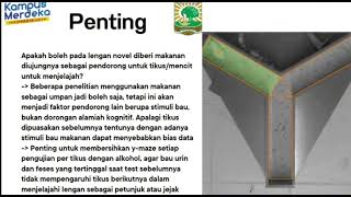 Prosedur Uji Kognitif Y-Maze