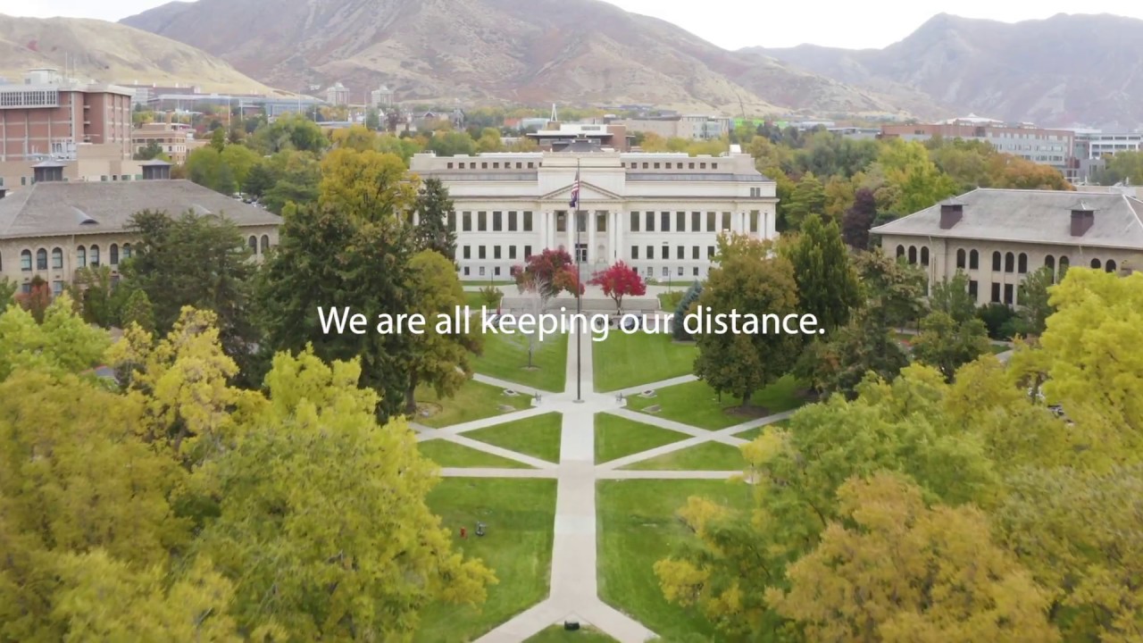 Stay safe. Stay home