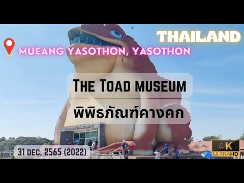 [4K] The Toad Museum & Naga Serpent | Yasothon | Street Walking 泰国益梭通府 ยโสธร 🇹🇭 Travel Thailand vlog