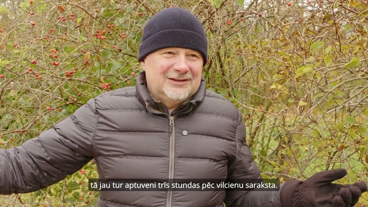 Tiksimies stacijā! S2E5