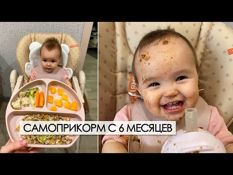 самоприкорм | кусочки с 6 месяцев | мой опыт введения прикорма