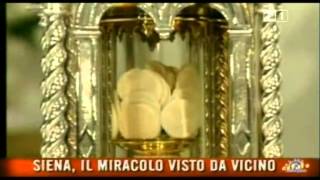 IL MIRACOLO EUCARISTICO DI SIENA - L'unico Miracolo Eucaristico in atto
