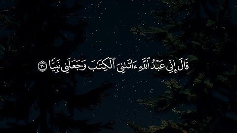 ﴿قَالَ إِنِّي عبدالله آتاني الكتاب وجعلني نبيا﴾ القارئ محمد الهادي توريه