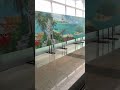 独特な壁画のタッチが良き。#ハノイ国際空港