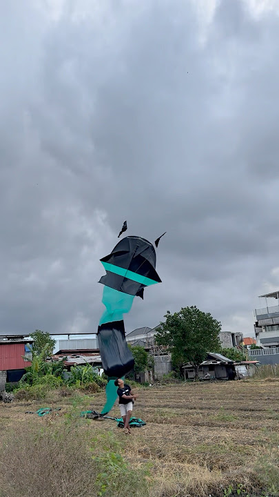 100 METER CATFISH TAIL KITE