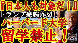 【ガチだぞぉ！トランプ政権『日本人も対象だ！全地球人のハーバード大学への留学を禁止する！』しかも既に留学してる学生も他大学に転出しなければアメリカから追放！】トランプとハーバードの大喧嘩が超拡大！左翼