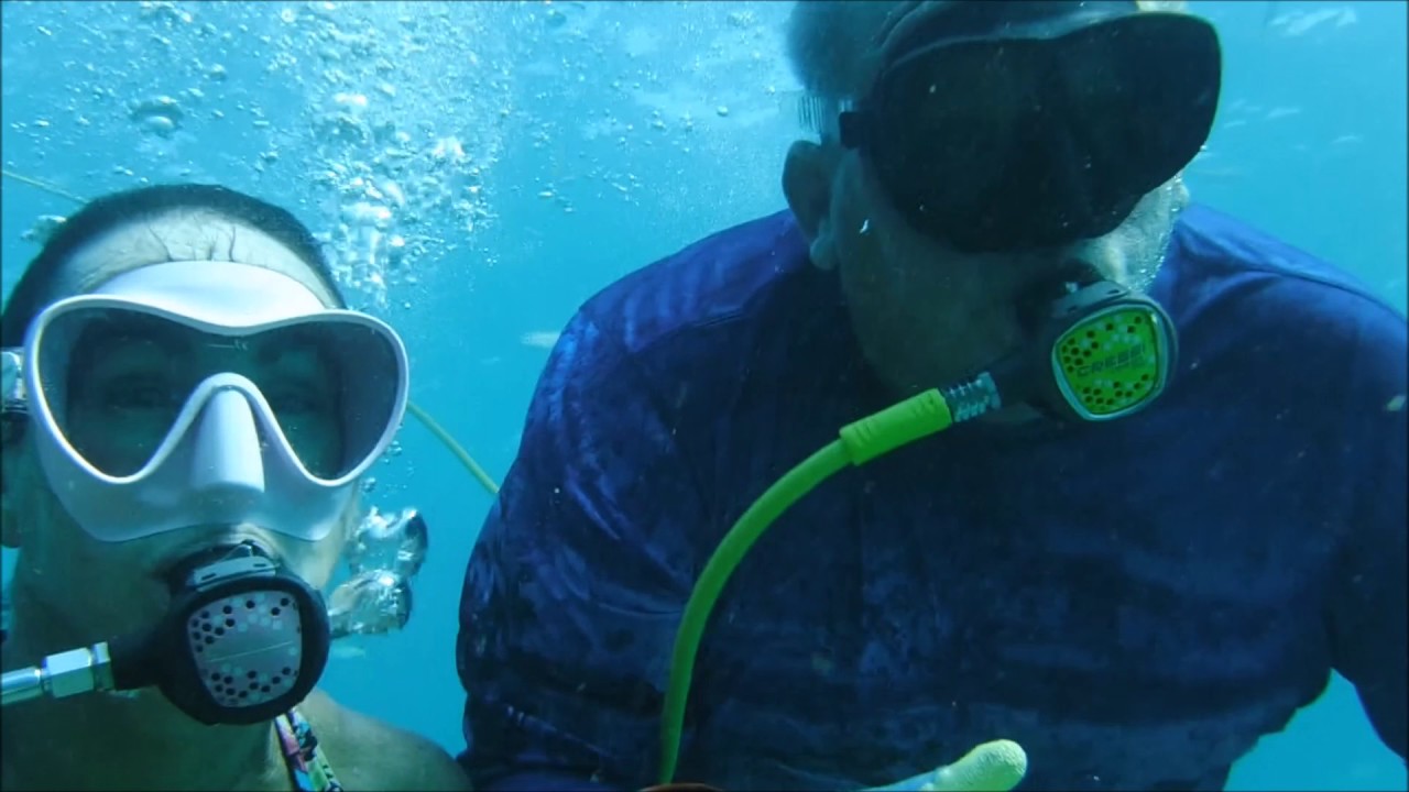 Gator Gill Hookah Diving Sombrero Reef Florida 2017 YouTube