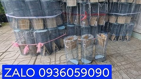 Bán lợp ếch. Bán Bẫy ếch. Bán lờ ếch.