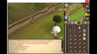 Driller398 LetsPk Spawn Pking Intro