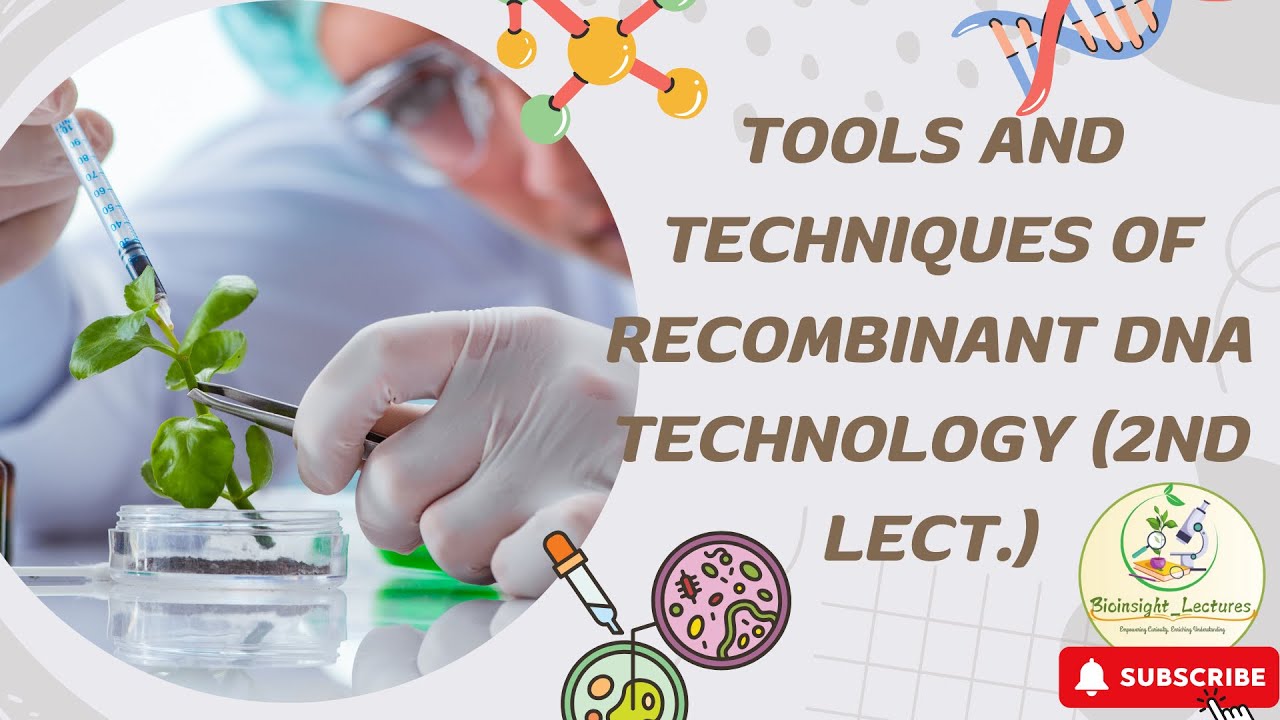 Tools and Techniques of Recombinant DNA Technology Part-2 - YouTube