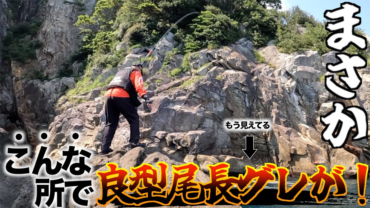 【尾鷲磯】特殊磯での良型尾長、口太グレ狙い。宝の解書で釣果は保証されたもの！！