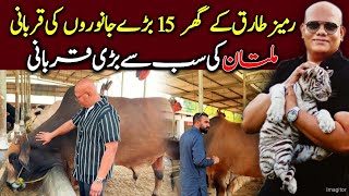 Famous Media Personality Rameez Tariqs Home Qurbani 2026 - Pakistan Ke Bari Qurbani 2026 - Qurbani