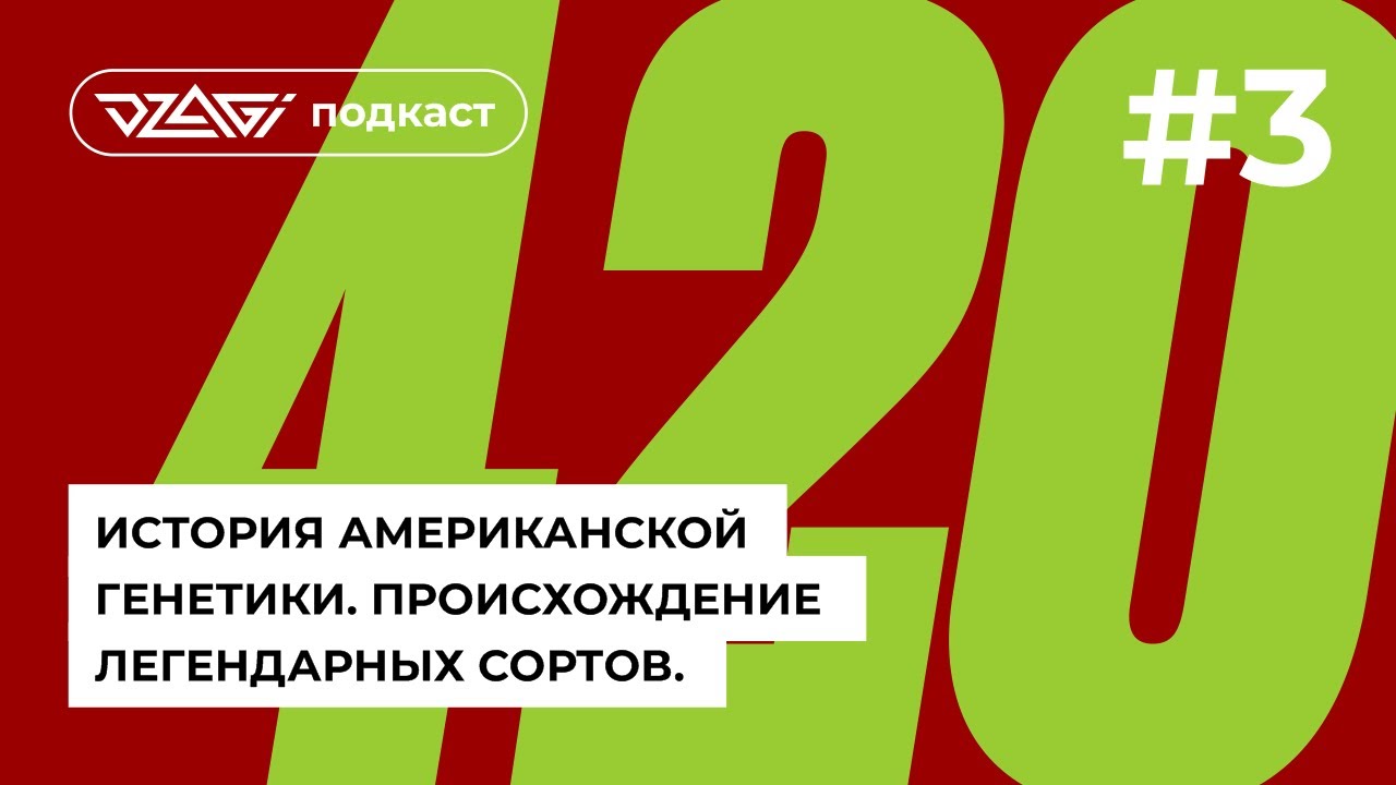 Подкаст | История американской генетики | Skunk, Haze, Blueberry, OGKush, GSC, Gelato, Zkittles