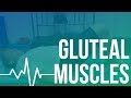 How to use Lacrosse Ball for tight Glute Muscles