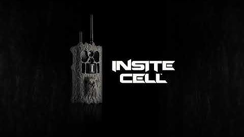 Camera Hardware Setup Video for INSITE CELL™.