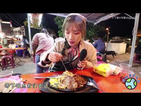 【台湾街头小吃3】恒春夜市没有想象中的那么好吃｛丁丁兽小可爱vlog｝(吃播吃货旅游美食日常)