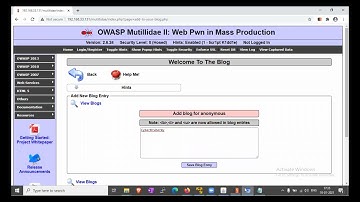 Testing for stored cross-site scripting // Evaluating Input Validation Checks