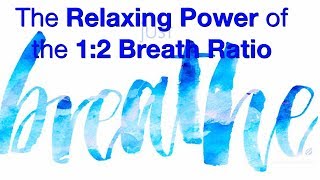 The Healing Power of a 1:2 Breathing Ratio || How Slow Exhales Relax Your Nervous System