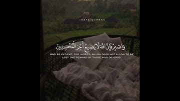 القارئ محمد الوكيل ((سورة هود))