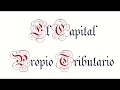 Capital propio tributario