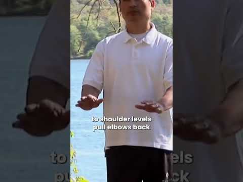 Tai Chi For Beginners Instructional Video Shorts 