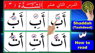 How to read Shaddah in Arabic | Noorani Qaida lesson 12  Shadda |  Learn Arabic for beginners