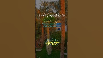 #قرآن #تلاوات #اكسبلور #قران_كريم #حالات_واتس #قرأن #دويتو #fypp #تيك_توك #حالات_واتس #duet