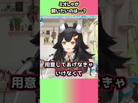 ミオしゃには、○○○を飼いたいという、昔からの夢がある【大神ミオ/ホロライブ切り抜き/朝ミオ】#shorts #vtuber #hololive