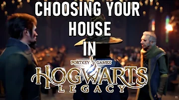 Is Hogwarts Legacy choice based?