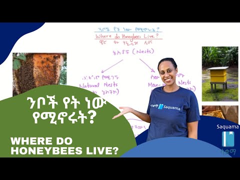 ቪዲዮ: አዲስ የተወለደውን ባይን ለመኮረጅ 3 መንገዶች