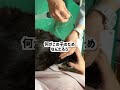 何が正しいのかわからない #cat #ねこ #保護猫 #ハチワレ #猫 #猫のいる暮らし