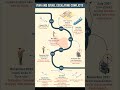 #israelpalestineconflict #mcqsseries #history #css #spsc_screening_test