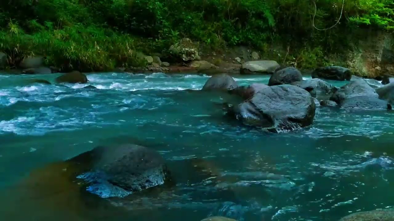 gentle Stream in the Woods – Nature River Sounds for Relaxation