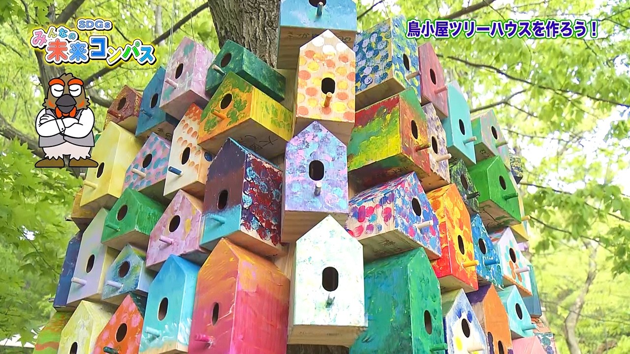 Let's build a birdhouse treehouse in the forest of Komoro (SDGs