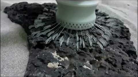 NASA JPL Robotic Microspines