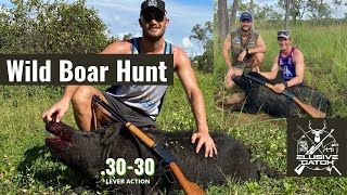 Hunting Invasive Feral HOGS in Outback Australia With DOGS