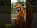 कित चाली कित चाली बैनके कबूतरी 🕊️🕊️