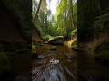 DRONE FLYING INTO ADVENTURE WITH DJI NEO 2 #drone #exploreindonesia
