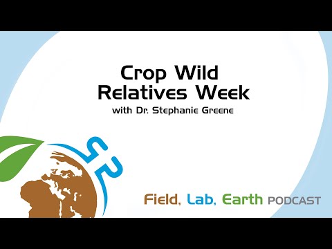 Vídeo: Crop Wild Relative Info: aprèn sobre la importància de Crop Wild Relatives