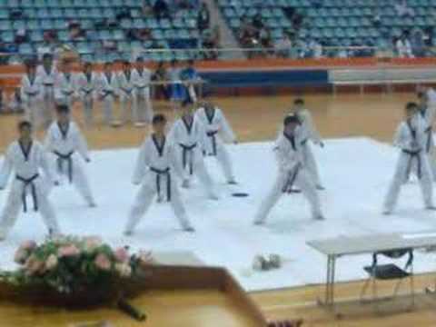 2007年全民盃武藝錦標賽