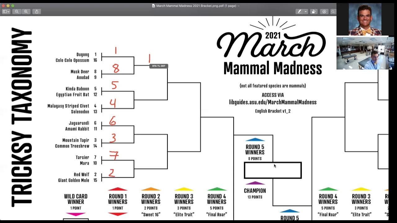 How to fill out your paper March Mammal Madness Bracket YouTube