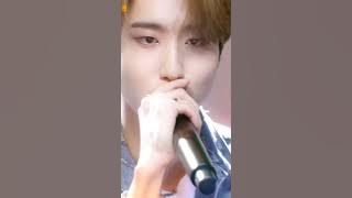 han's deep voice 🤯 #skz #han