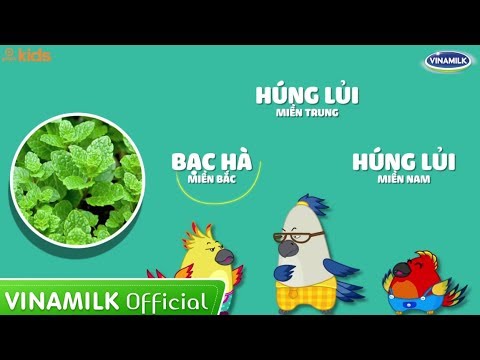 Video Két Nói - Cách Gọi Rau Củ Quả 3 Miền - Tập 4 - youtube