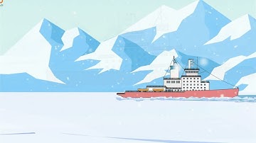 [Kể chuyện] Bầy cá heo và bản nhạc | Nguyễn Thanh Thảo