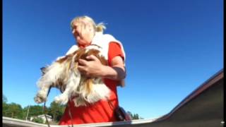 En tur till Abborkrogen