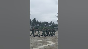 Kopasjat #linmas #shorts