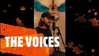 Jasim Hamza / Guitar Cover/ THE VOICES