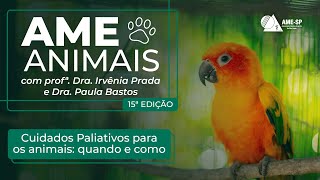 [Pílula] Cuidados Paliativos para Animais - 15º AME Animais