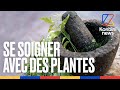 Et si on recommenait  se soigner avec des plantes  voici anas productrice dherbes mdicinales